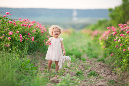 Pretty curly child girl is walking in spring garden with pink blossom roses flowers, sunset timeの写真素材
