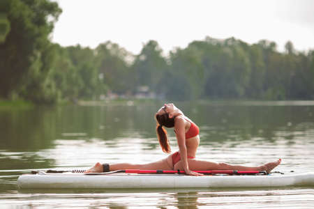 Young pretty fitness girl in swimwear is doing yoga on the SUP in the middle of the lake with a green forest in the background.の写真素材