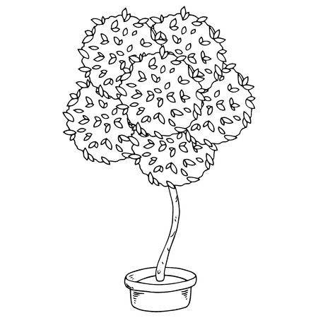 Home plants. Vector illustration of a home flower in a pot. Hand drawn homemade potted plant.のイラスト素材