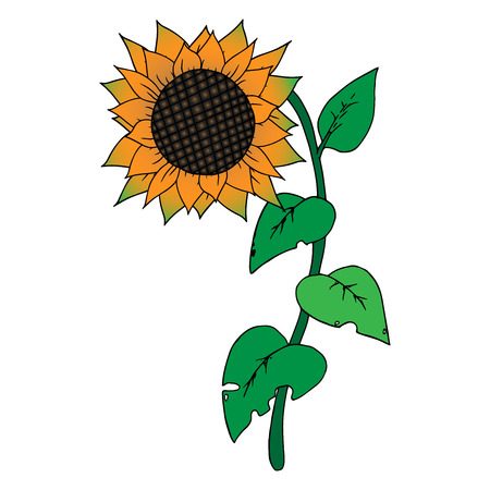 Sunflower on a stalk with carved leaves. Sunflower icon. Vector illustration of sunflower. Hand drawn sunflower.のイラスト素材
