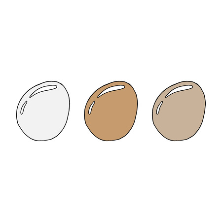A set of three eggs. Vector illustration.のイラスト素材