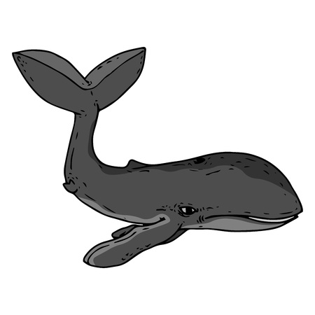 A cartoon grey whale. A whale with a raised tail. Vector illustration.のイラスト素材
