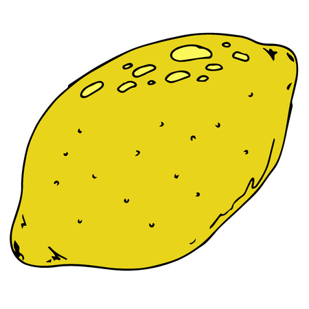 Whole lemon. Hand drawn lemon. Vector illustration of a yellow lemon.のイラスト素材