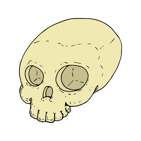 The human skull without the lower jaw. Vector illustration.のイラスト素材