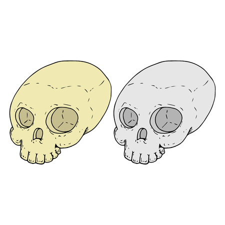 The human skull without the lower jaw. Yellow and gray skulls. Vector illustration.のイラスト素材