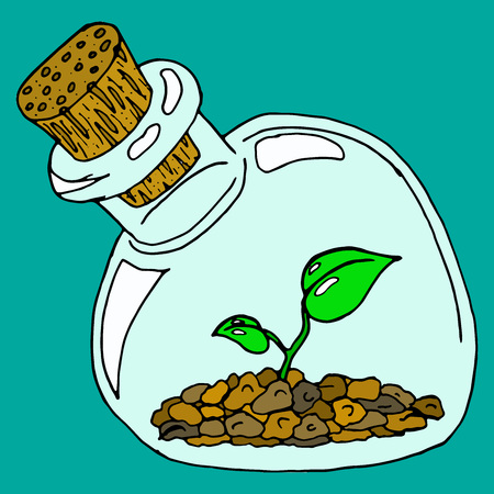 Hand drawn glass jar with a young sprout. Bank closed with a wooden stopper. Vector illustration of a young plant in a closed glass jar.のイラスト素材