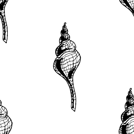 Seamless pattern from sea shells. Beautiful sea shell. Hand drawn large shell. Doodle ocean shell.のイラスト素材