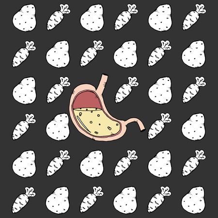 Background of vegetables of carrots, potatoes and anatomical stomach. Concept of healthy food for the stomach. Vector illustration of a potato and carrot. Hand drawn doodle stomach and vegetables.のイラスト素材
