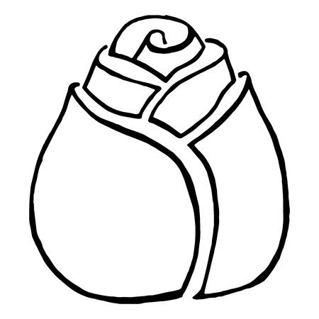 Vector black and white rose bud. Hand drawing roses. Contour flower bud.のイラスト素材