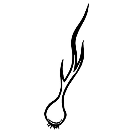 Hand drawn icon, logo from the onion. Vector illustration of a onion. Sketch pattern from an onion.のイラスト素材