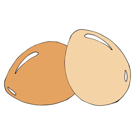 Egg icon. Vector illustration of egg. Hand drawn egg.のイラスト素材