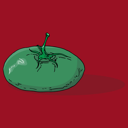 Tomato icon. Vector illustration of a green tomato. Hand drawn tomato.のイラスト素材