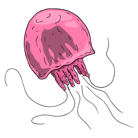 Jellyfish icon. Vector illustration of cartoon jellyfish. Hand drawn jellyfish.のイラスト素材