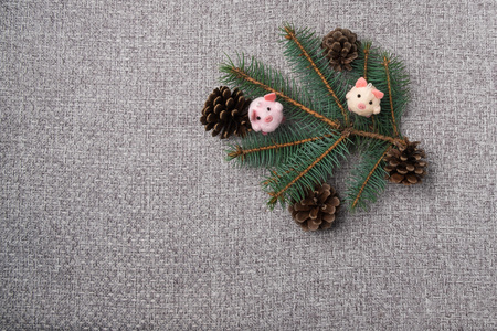 Fir-tree branch with a Christmas decor. Symbol of 2019 new year.の写真素材