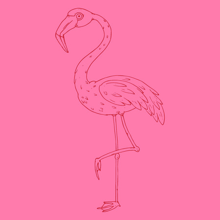 Flamingo icon. Vector illustration of a flamingo. Flamingo hand drawn.のイラスト素材
