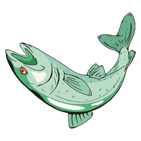 Fish icon. Vector of a fish for food. Hand drawn dead fish.のイラスト素材