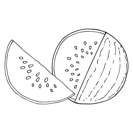 Watermelon icon. Vector illustration of a watermelon.  Hand drawn watermelon. Summer berry sketch.のイラスト素材