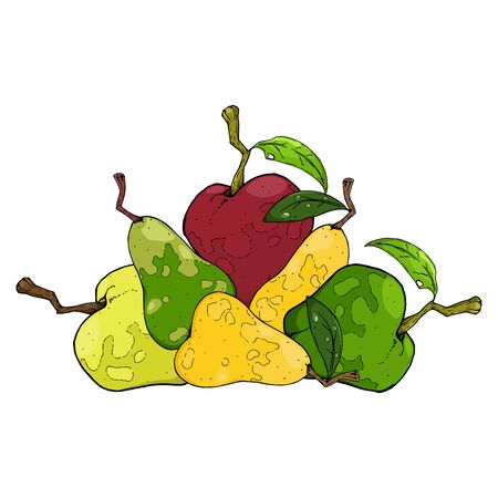 Apples and pears in autumn. Vector illustration of autumn fruits of a pear and an apple. Hand drawn pears with apples icon.のイラスト素材