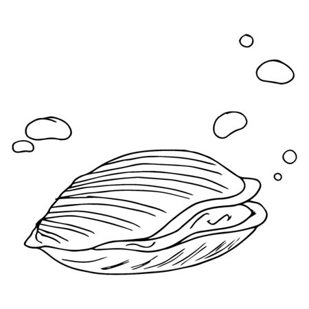 Seashell icon. Vector illustration of a closed seashell. Hand drawn closed shell with pearls.のイラスト素材