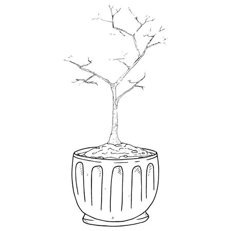 Planting a tree in a wooden pot icon. Vector illustration of a spring planting of a bush, a tree in a tub. Hand drawn young tree planted in a pot.のイラスト素材