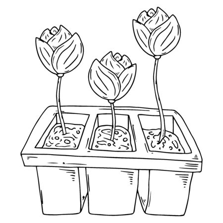 Spring garden plants planted in buckets icon. Vector illustration of a bucket with spring plants and flowers.のイラスト素材