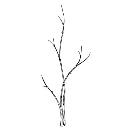 Young seedling icon. Vector illustration of a young sapling for planting. Hand drawn young bush for spring planting.のイラスト素材
