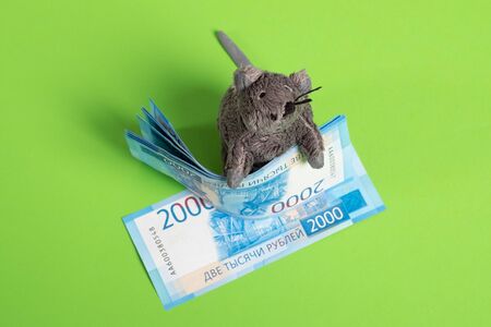 Rat is sitting on the money. Children's toy on the background of Russian money. Russian ruble money, bills.の写真素材
