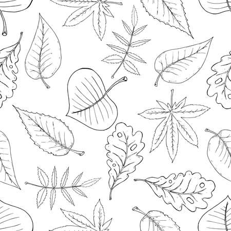Leaves seamless pattern. Autumn, spring leaves. Vector of a seamless pattern of leaves.のイラスト素材