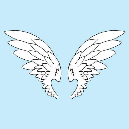 Set wings. Vector illustration wings. Hand drawn angel wings set.