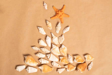 Summer vacation concept at sea. Sea wave from seashells and starfish.