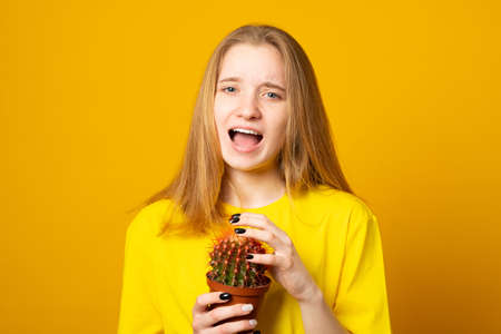 Teen girl screams in pain, pricked by a cactus on a yellow background. Stress and health concept.