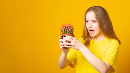 Teen girl screams in pain, pricked by a cactus on a yellow background. Stress and health concept....