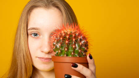 Charming young woman holding green cactus pot isolated yellow color background. Banner copy space.の写真素材