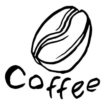 Coffee beans. Handwritten font coffee. Vector illustration of coffee grains.のイラスト素材