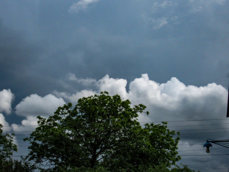 White clouds in a gray sky and green trees in the foreground.の写真素材