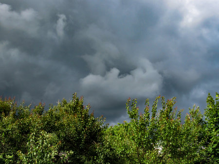 Dark stormy sky with dark clouds and green trees in the foregroundの写真素材