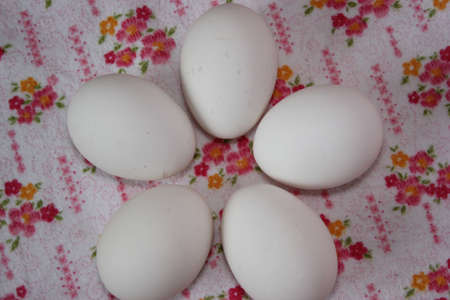 White eggs and red flowersの写真素材