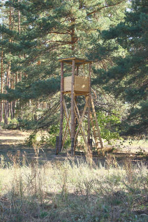 hunter's house in a secluded spot in the forestの写真素材