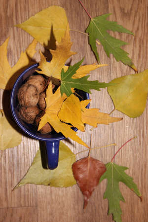 Generous Autumn Cup in Thanksgiving Dayの写真素材