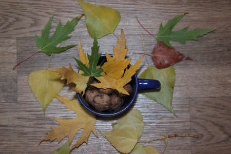 a cup filled with healthy autumn products