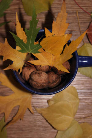Thanksgiving from the autumnの写真素材