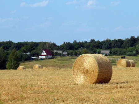 locality against the hay balesの写真素材