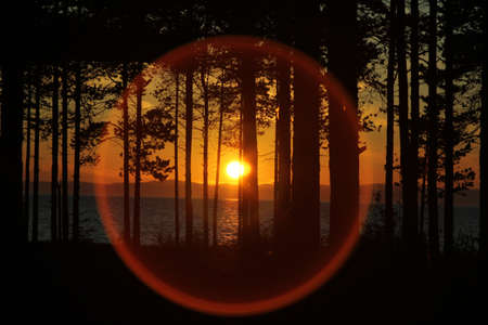 Sunset on the lake Baikal through the trees.の写真素材