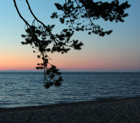 Sunset on the lake Baikal through the trees.の写真素材