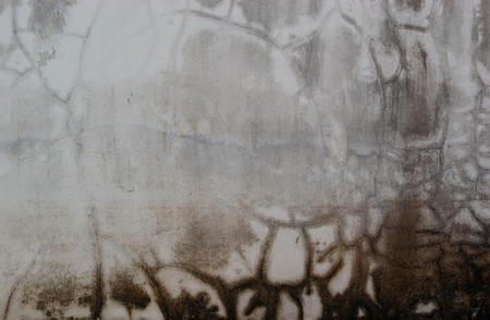 concrete wall texture backgroundの写真素材