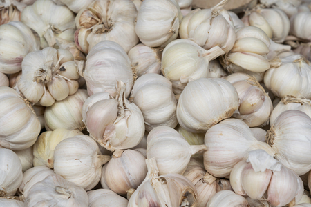 garlics in close up view from market streetの写真素材