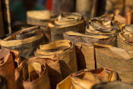 There are a lot of brown paper rolls.の写真素材