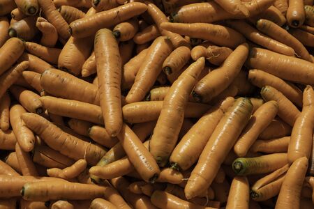 On the ground there are many large carrots.