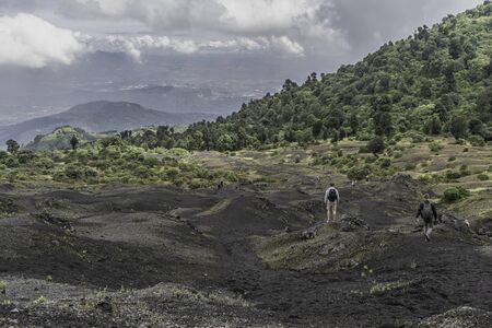 People are descending from the Pacaya volcano.の写真素材