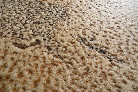 The juice of the agave or must is fermented in a fermentation tank at the tequila factory.